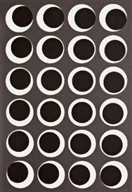 Timm Ulrichs, Interferences 2