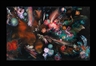 Alisa Margolis, Premonition