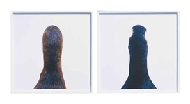 Roni Horn, Untitled, No. 10