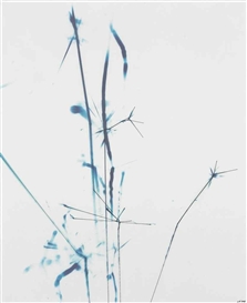 Carsten Nicolai, Funken 8z