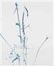 Carsten Nicolai, Funken 8z