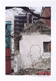 Zhang Dali, Dialogue & Demolition Series