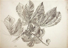 Karl Hubbuch, Kastanienzweig mit Frucht