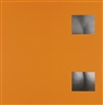 Aidan Salakhova, SIX ANALOGIES OF ECSTASY