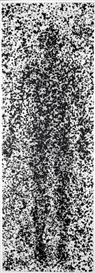 Antony Gormley, Bodies in Space (Black)