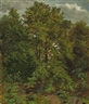 Carl Gustav Carus, MOTIV VON DER PILLNITZER ELBINSEL