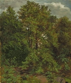 Carl Gustav Carus, MOTIV VON DER PILLNITZER ELBINSEL