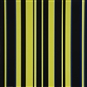 Günter Fruhtrunk, Horizons