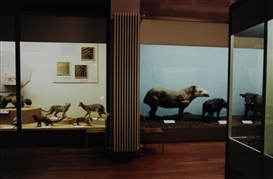 Candida Höfer, Naturhistorisches Museum Basel