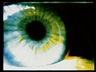 Pipilotti Rist, Love