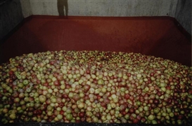 Roman Signer, Apples
