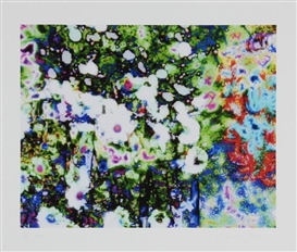 Annelies Strba, Flowers