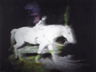 Annelies Strba, Wonder, Nyima 291
