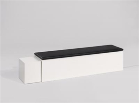 Jeppe Hein, Moving Bench #12000