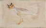 Morris Graves, Bird with a Mask