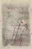 Morris Graves, Wild Flowers