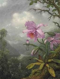 Martin Johnson Heade, Hummingbird Perched on the Orchid Plant
