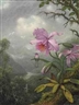 Martin Johnson Heade, Hummingbird Perched on the Orchid Plant