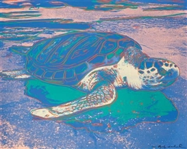 Andy Warhol, TURTLE