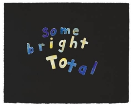 Roni Horn, SOME BRIGHT TOTAL