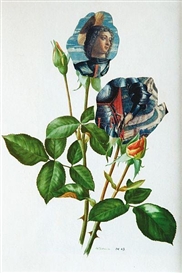 Jiří Kolář, Flower