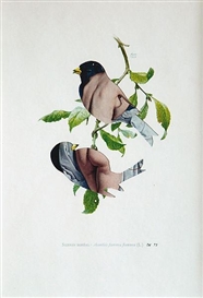 Jiří Kolář, Birds