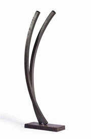 Bernar Venet, 77.5 Arcs