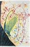 Jan Fabre, MÉTAMORPHOSE