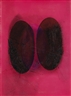 Peter Zimmermann, TEMPLATE II