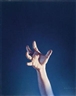 Gottfried Helnwein, Hand