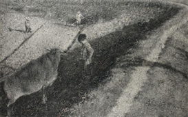 Zhang Huan, GRAZING