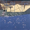 Andrew Macara, 3 Works: Aviary, Gran Canaria