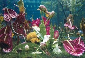 Marc Quinn, ITALIAN LANDSCAPE (8)