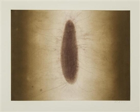 Anish Kapoor, Untitled II, from 12 Etchings