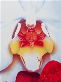 Marc Quinn, From Portraits of Landscapes. Untitled 2