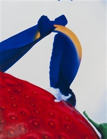 Marc Quinn, From Portraits of Landscapes. Untitled 5