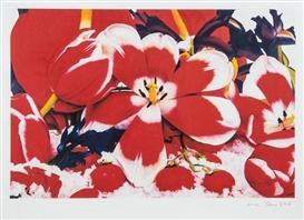 Marc Quinn, 6 Works: Six Moments of Sunrise