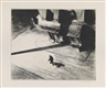 Edward Hopper, Night Shadows