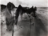 Raoul Hausmann, DRYING NETS AT SALESKE