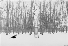 Robert Häusser, "Vogel im Park"
