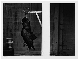 Robert Häusser, "Toter Vogel"