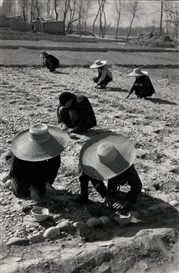 Marc Riboud, Untitled