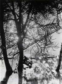 Werner Rohde, Paris