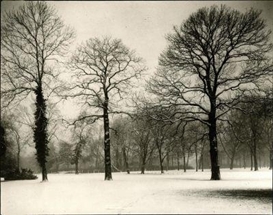 August Sander, Kölner Stadtwald.