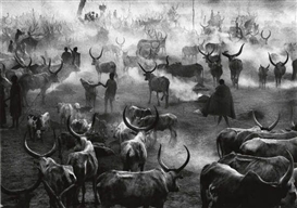 Sebastião Salgado, South Sudan