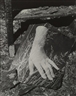 Pierre Jahan, PHOTOGRAVURE LERULÉ