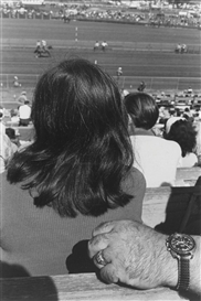 Lee Friedlander, SALINAS