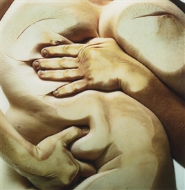 Glen Luchford, Jenny Saville, CLOSED CONTACT #3