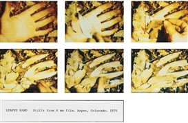 Dennis A. Oppenheim, LEAFED HAND