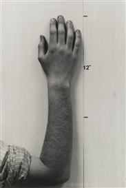Mel Bochner, ACTUAL SIZE (HAND)